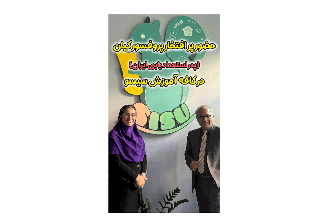 سیسو آکادمی