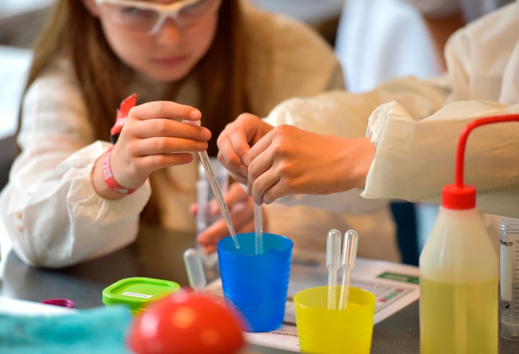 سیسو آکادمی